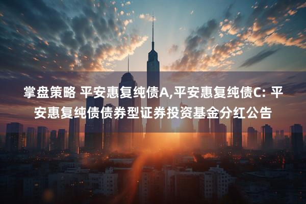 掌盘策略 平安惠复纯债A,平安惠复纯债C: 平安惠复纯债债券型证券投资基金分红公告