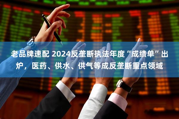 老品牌速配 2024反垄断执法年度“成绩单”出炉，医药、供水、供气等成反垄断重点领域