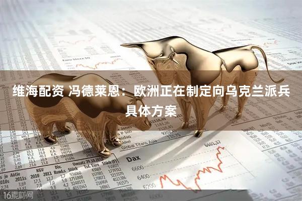 维海配资 冯德莱恩：欧洲正在制定向乌克兰派兵具体方案