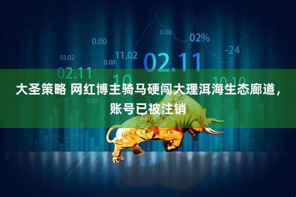 大圣策略 网红博主骑马硬闯大理洱海生态廊道,账号已被注销