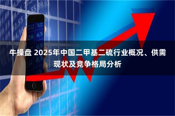 牛操盘 2025年中国二甲基二硫行业概况、供需现状及竞争格局分析